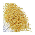 50 Pcs Gold Pearl Beaded Stems for Floral Arrangements and Christmas Decor