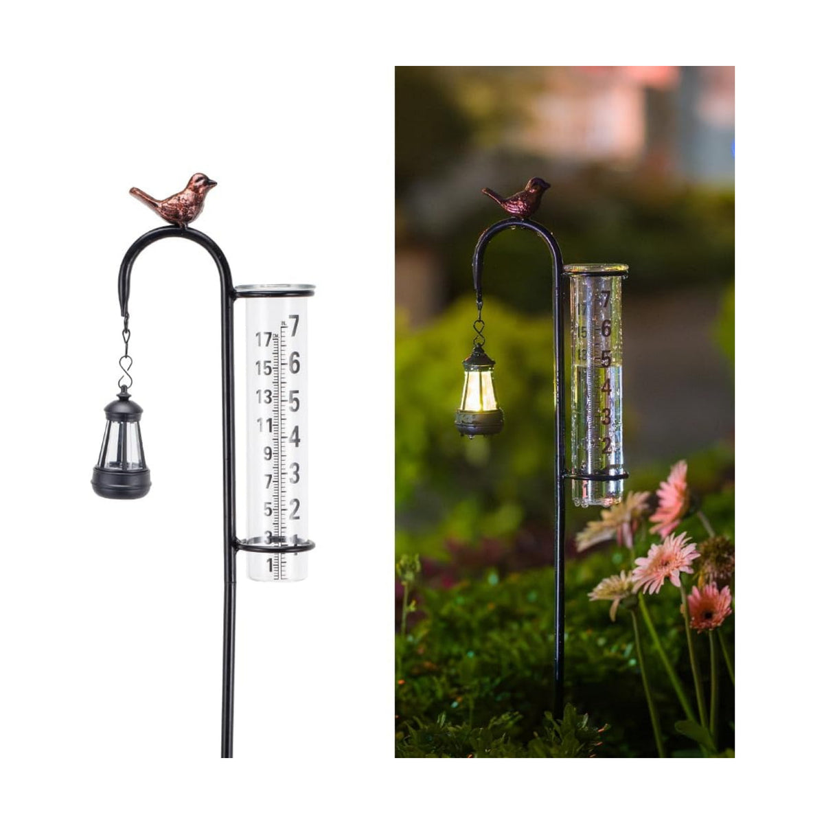 Hummingbird Rain Gauge Outdoor, Solar Rain Gauge