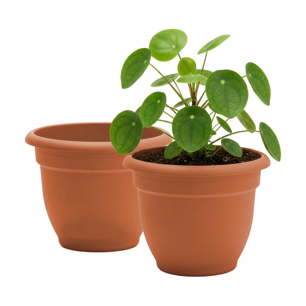 Bloem Ariana 12" Plastic Self-Watering Planter, Terra Cotta, 2-Pack | Self-watering disk at the bottom of each pot that
