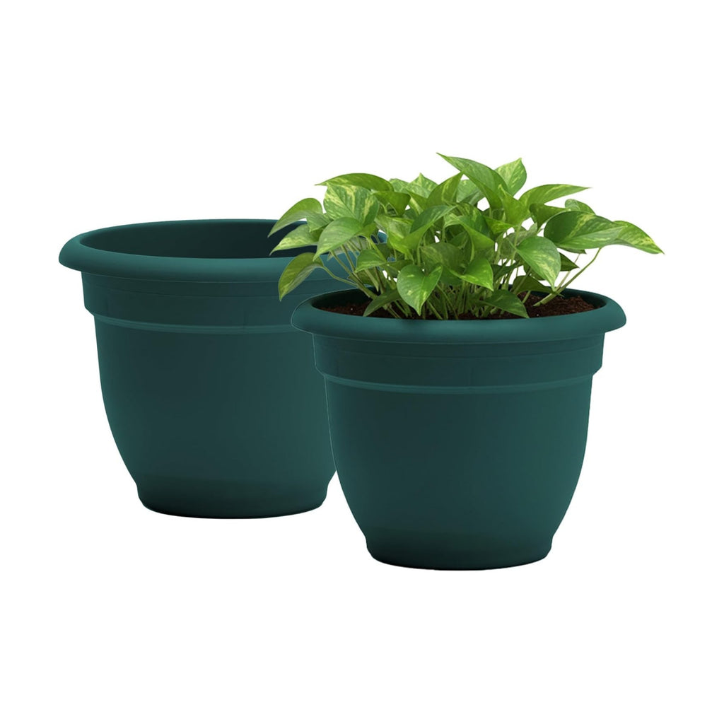 Bloem Ariana 12" Plastic Self-Watering Planter, Charleston Green, 2-Pack | Self-watering disk at the bottom of each pot