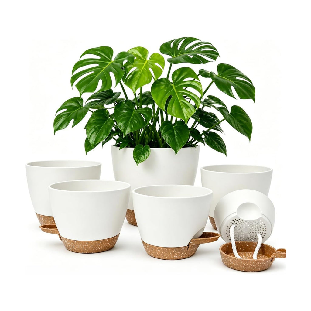 Plant Pots for Indoor 9/8/7/6.5/6/5 Inch, Self Watering Planter Pots with Drainage Holes and Saucers, 6Pcs Plastic