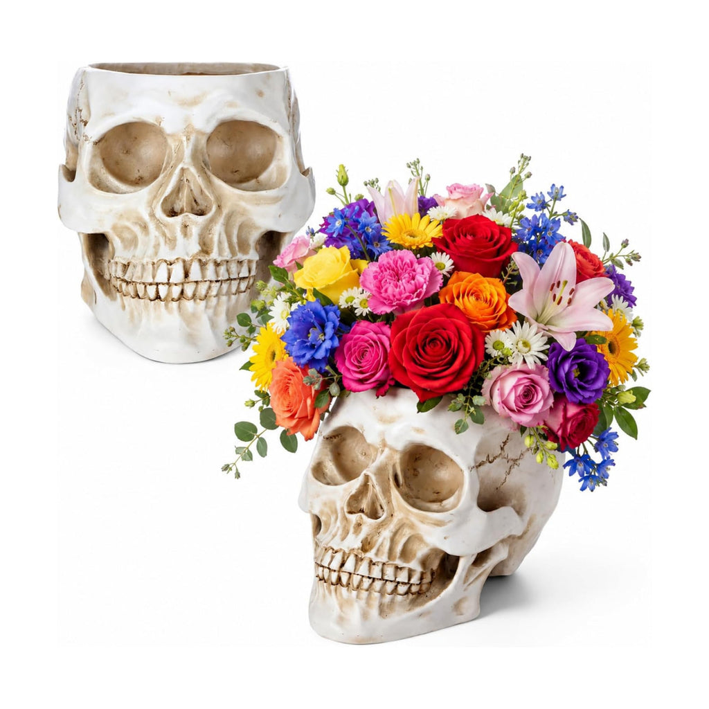 2 Pack Halloween Skull Planter, Antique White, Minimalist
