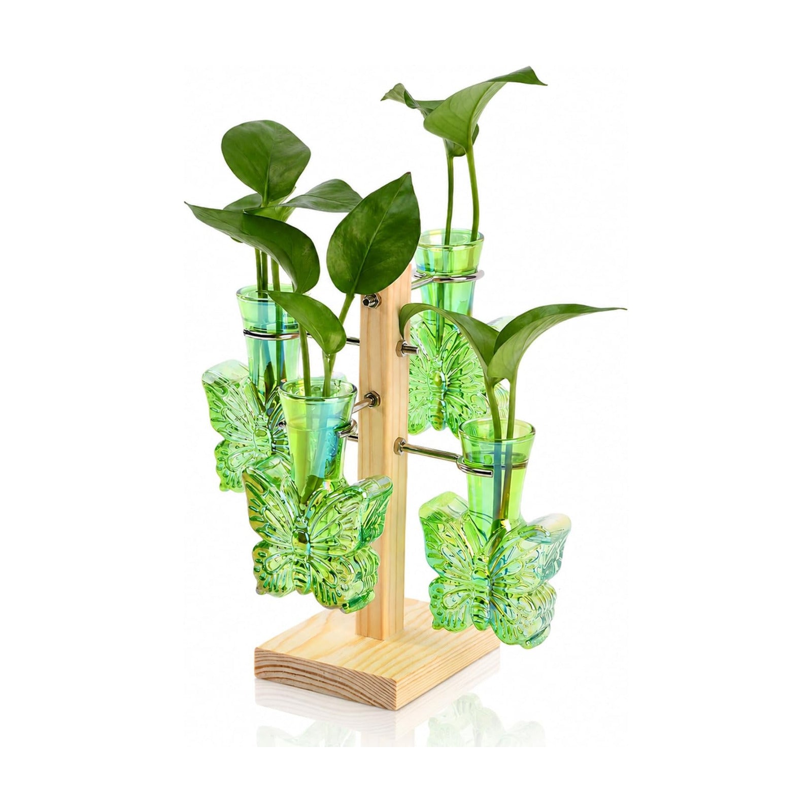 Plant Terrarium Propagation Stations: Green Vase with Wooden Stand | Irised Crystal Clear Glass, Butterfly Shaped, Home