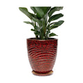 9.5 Inch Modern Ceramic Plant Pot with Saucer, Flower Pot with Drainage Hole Mesh Net,Indoor Outdoor Planter (Speckle