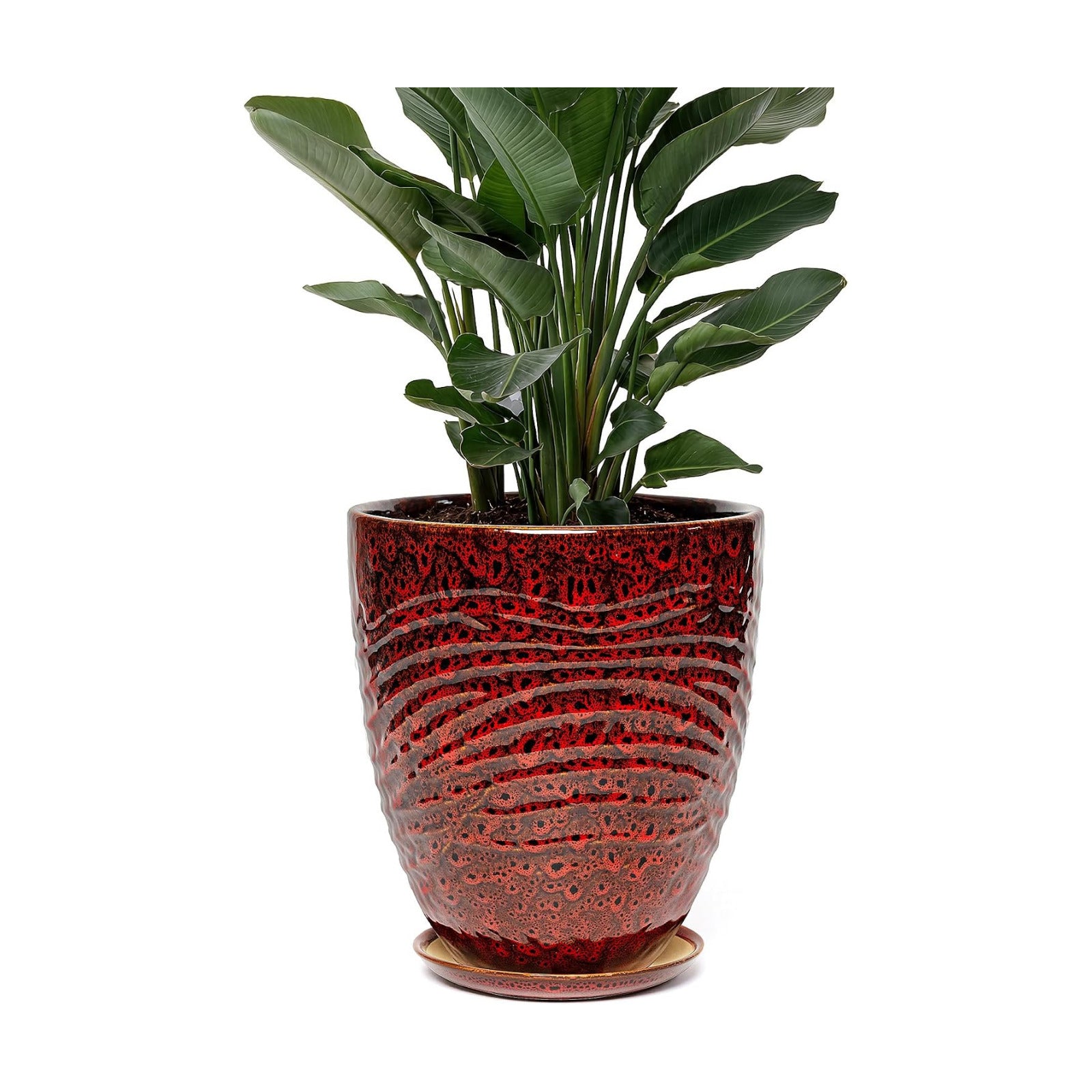 9.5 Inch Modern Ceramic Plant Pot with Saucer, Flower Pot with Drainage Hole Mesh Net,Indoor Outdoor Planter (Speckle