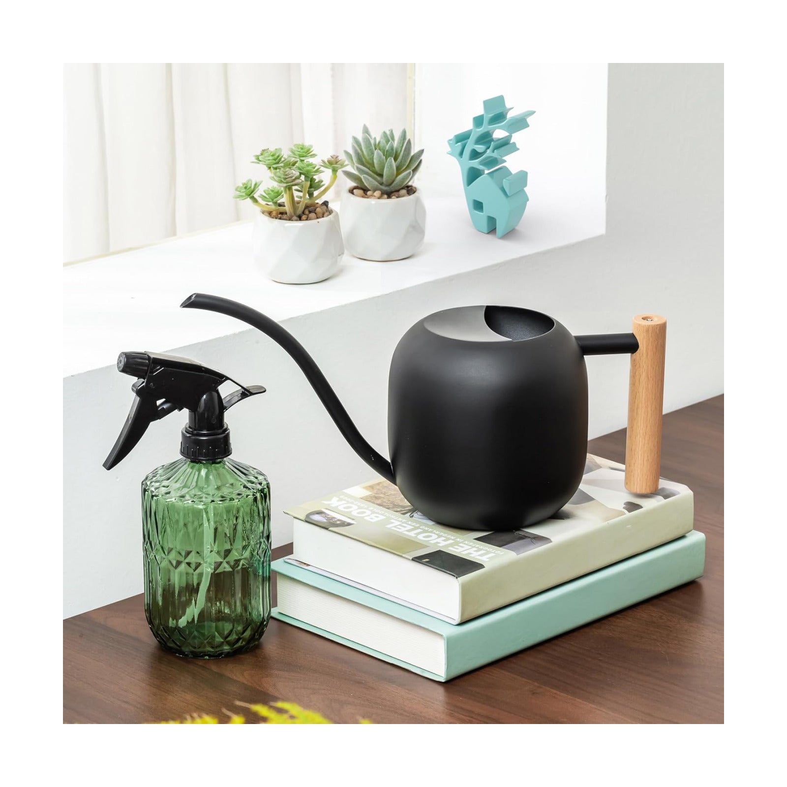 Baffect Indoor House Plants Watering Set for Bonsai, Orchid | Include Balck Metal Long Spout Watering Can (41oz) & Dark
