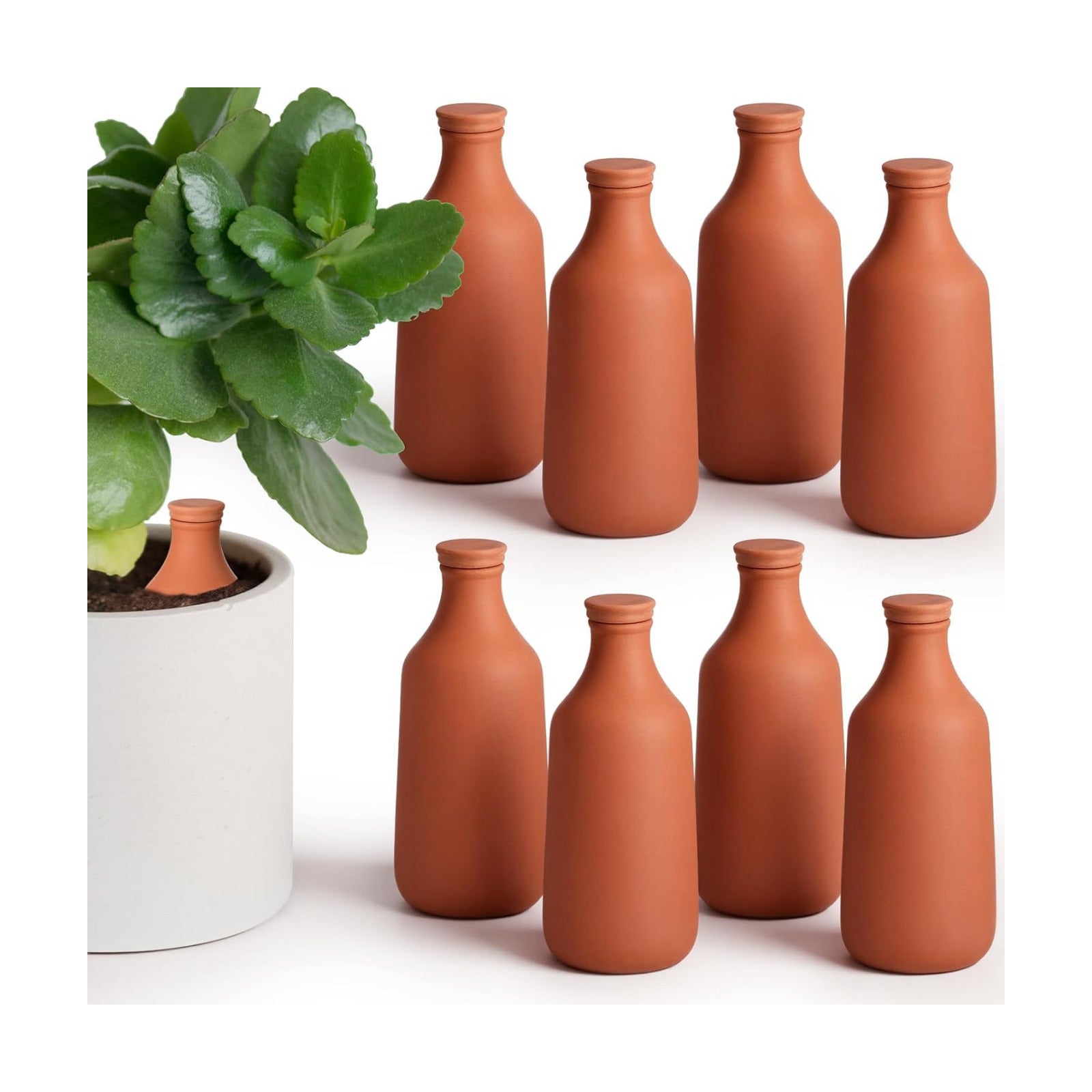 DoubleFill 8 Pcs Ollas Terracotta Watering Pots Self Watering Planter Insert Terracotta Globes Clay for Outdoor Indoor