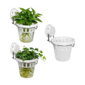 3 Pcs Window Propagation Stations Plastic Wall Hanging Planter with Suction Cup Holder Window Mounted Plant for
