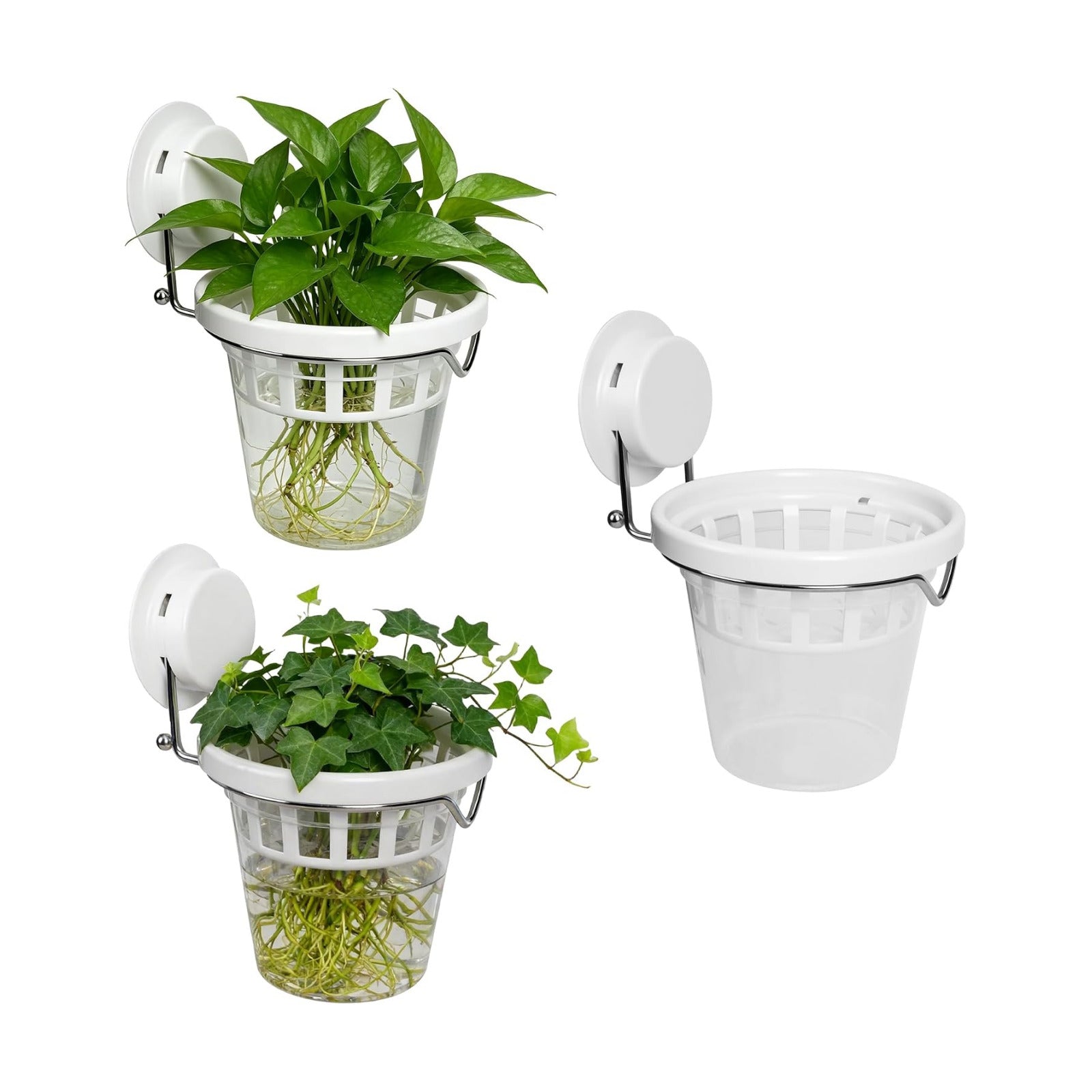 3 Pcs Window Propagation Stations Plastic Wall Hanging Planter with Suction Cup Holder Window Mounted Plant for