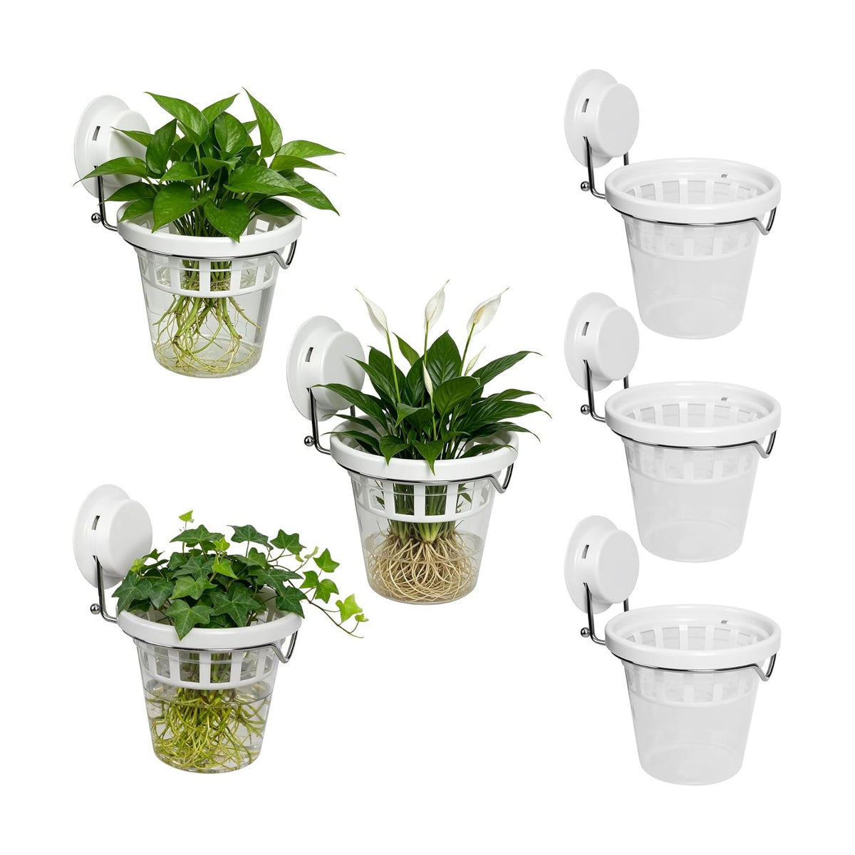 6-Pack Window Propagation Stations Hanging Clear Planter with Suction Cup