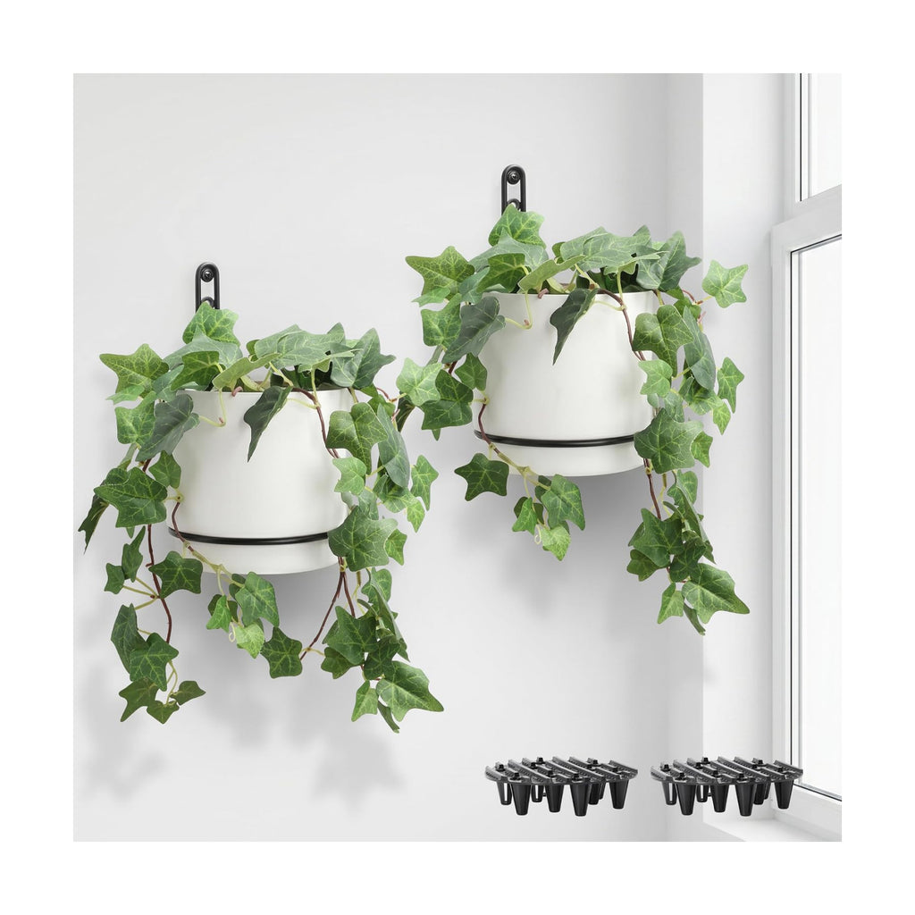 Self-Watering Wall Planters for Indoor Outdoor Plants (5.9 inch) | Metal Wall Vase, Wall Hanging Planter, Wall Plant