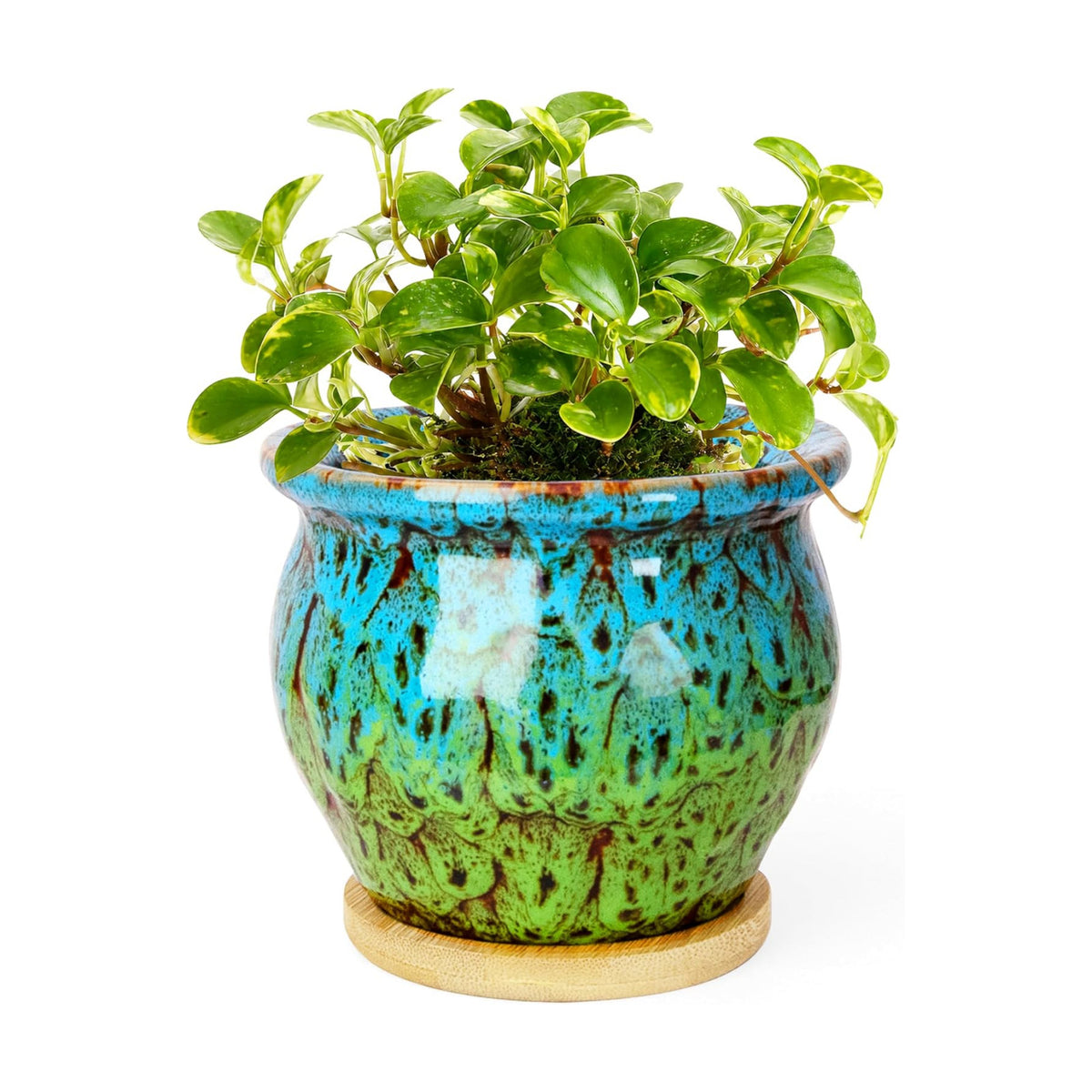 4.5 Inch Plant Pots, Small Pots for Plant Indoor, Succulent Pots with Tray