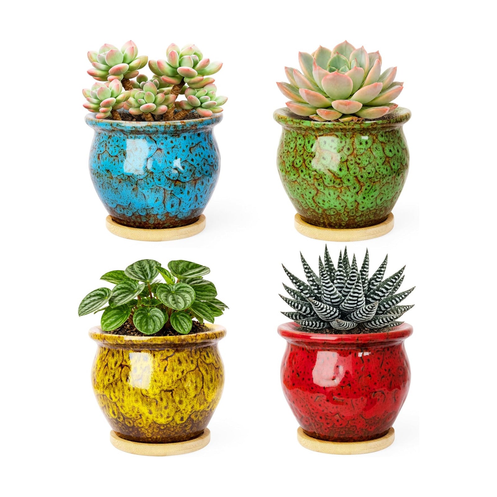 ARTKETTY Succulent Pots, 4.5'' Small Plant Pots with Drainage Tray | Glazed Flower Pots Set of 4, Ceramic Pots for
