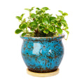 Plant Pots, 4.5 Inch Ceramic Pots for Plant with Drainage, Succulent Pots