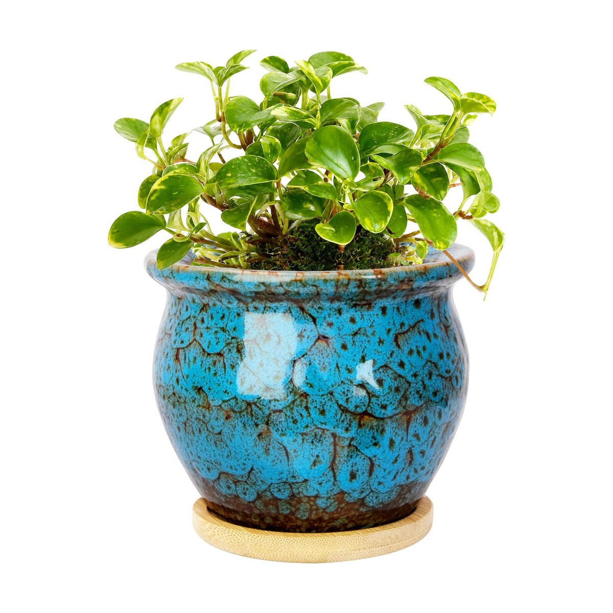 Plant Pots, 4.5 Inch Ceramic Pots for Plant with Drainage, Succulent Pots