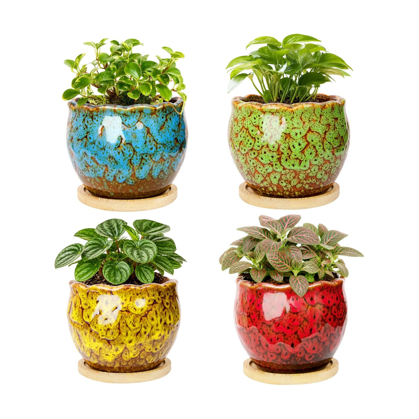 ARTKETTY Succulent Pots, 4 Pack Small Plant Pots with Drainage Tray | 4 Inch Flower Pots, Ceramic Planters for Indoor