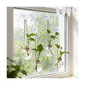 Bunmery 4 PCS Window Propagation Stations, Glass Plant Propagation Bulbs Vases with Suction Cups & Traceless Nails, Easy to Install Window Wall Hanging Planter Terrarium Vase for Home Office Decor
