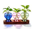 Zhehao 3 Pcs Plant Propagation Stations with Wooden Stand Heart Shaped Propagation Vases for Indoor Plants Home Office