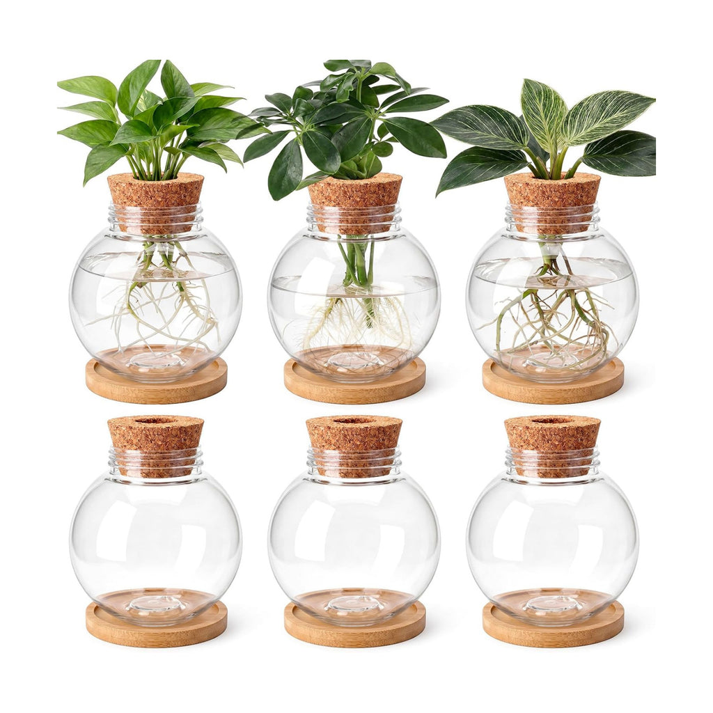 Ripeng 6 Pack Propagation Vases for Plants Plastic Large Plant Propagation Station with Hole Lid and Cork Coasters