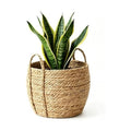 10 inch Large Seagrass Woven Planter Basket with Handles