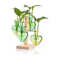 Plant Terrarium Propagation Stations: Green Vase with Wooden Stand | 4 Irised Crystal Glass, Heart Shaped, Home Table