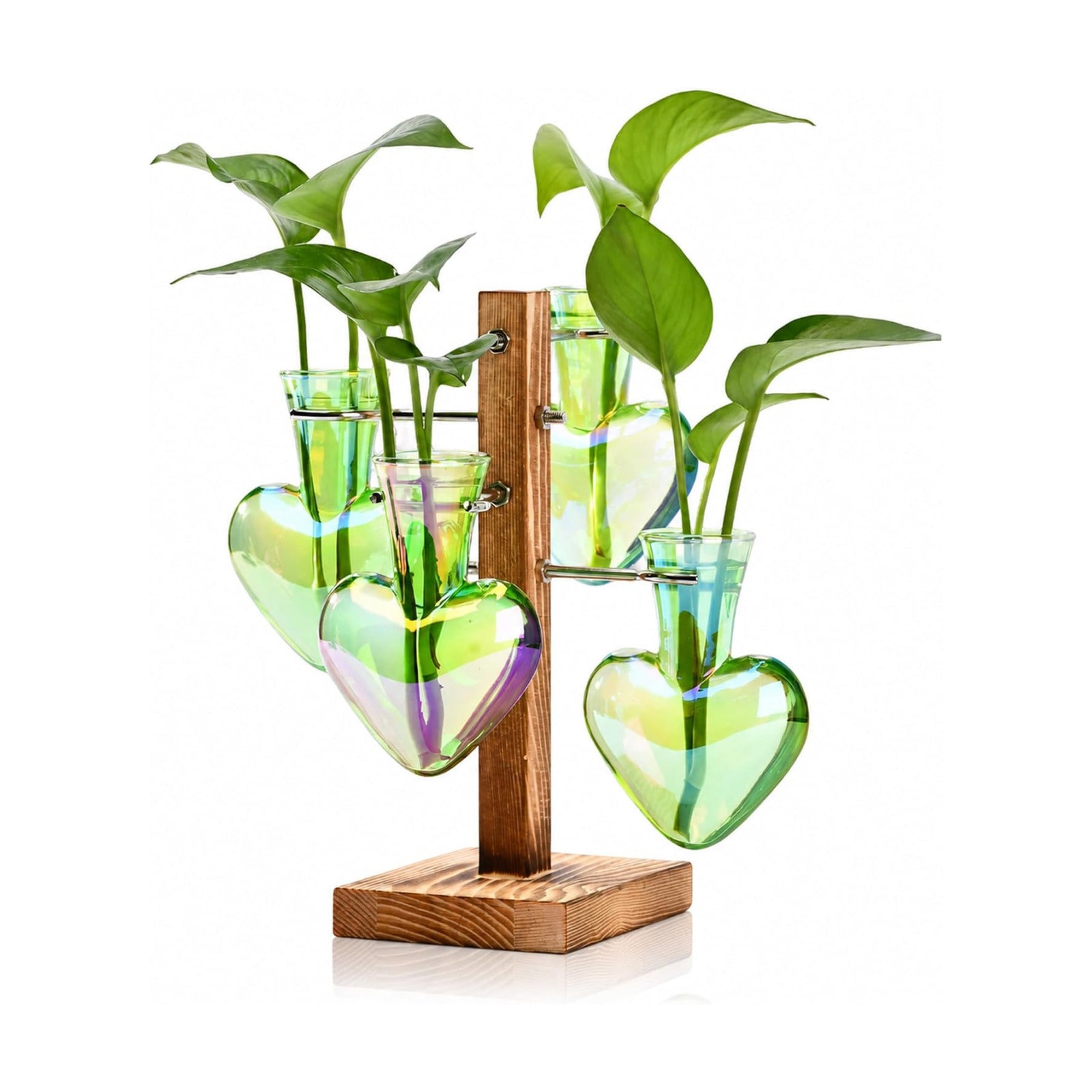 Plant Terrarium Propagation Stations: Green Vase with Wooden Stand | 4 Irised Crystal Glass, Heart Shaped, Home Table