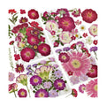 Dried Pressed Flowers for Resin