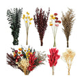 120+ Pcs Dried Flower Bouquet Set, Boho Floral for Fall Decor, Vase Crafts