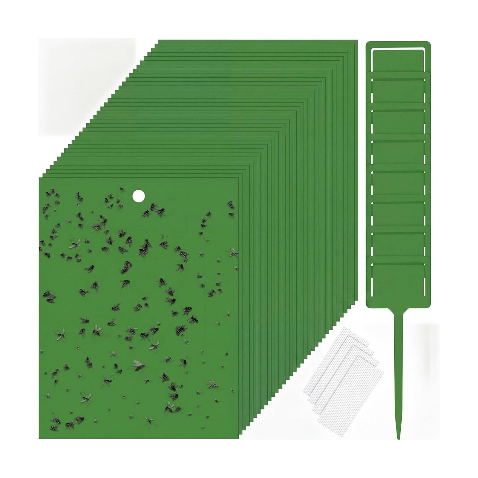 Qualirey 100 Pcs 6 x 8 in Green Sticky Traps for Gnats Plant Insect Trap | Dual Sided Strong Sticky, Fungus Fruit Flies