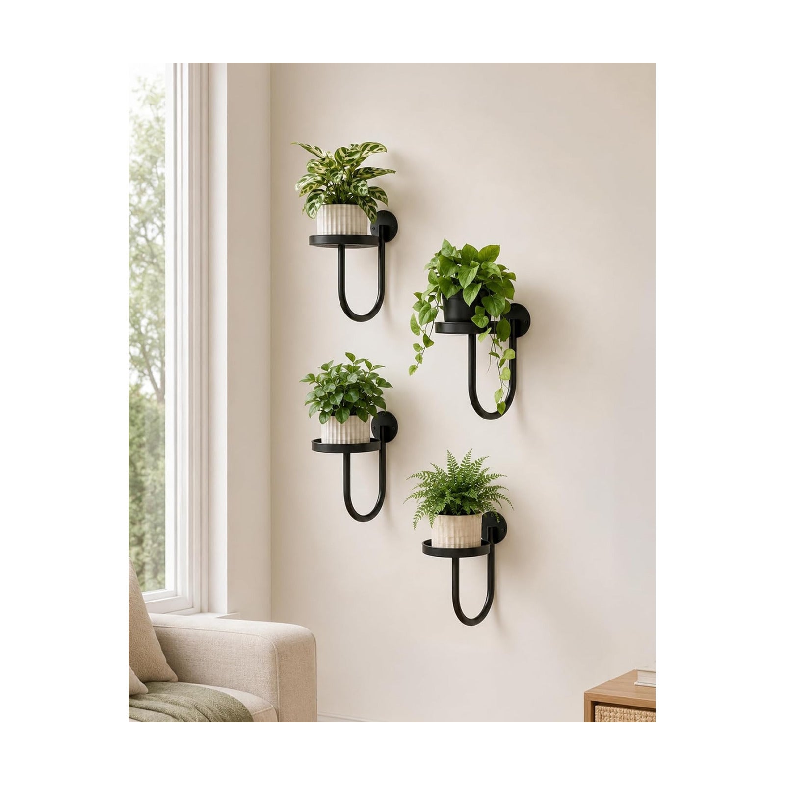 GENTINGBRO Plant Stands Hanging Planters for Indoor Plants Wall Plant Holder Plant Hanger Indoor Wall Planter Window