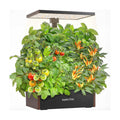 Hydroponics Growing System 20 Pods, 25" Adjustable Height, 10L Tank | Indoor Garden with 30W Dimmable LED Grow Light