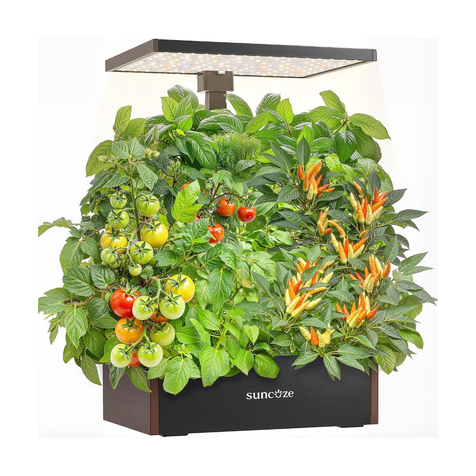 Hydroponics Growing System 20 Pods, 25" Adjustable Height, 10L Tank | Indoor Garden with 30W Dimmable LED Grow Light