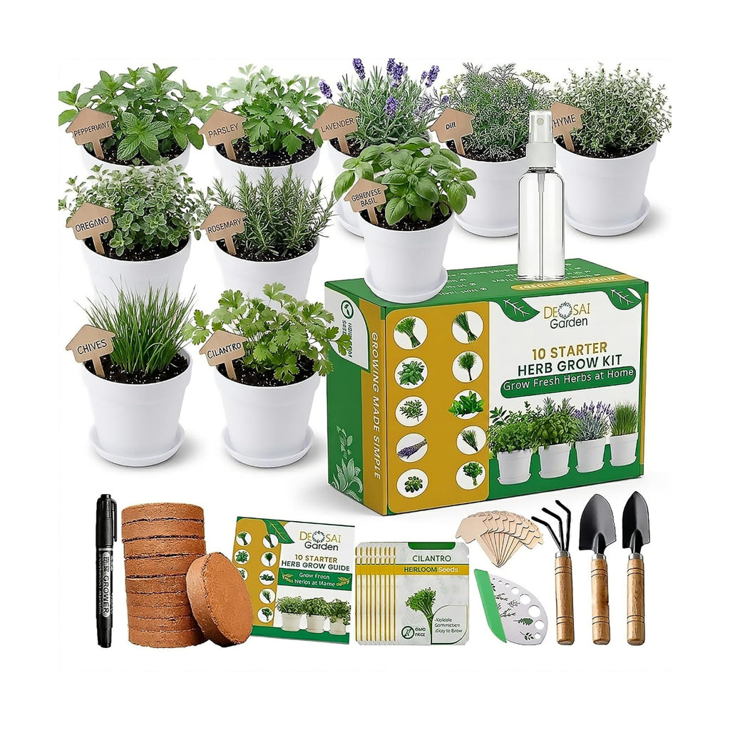 47 PCS Herb Garden Seeds Starter Kit, 10 Non-GMO Culinary Herb Seeds with White Pots & Planters for Windowsill, Herb