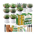 47 PCS Herb Garden Seeds Starter Kit, 10 Non-GMO Culinary Herb Seeds with White Pots & Planters for Windowsill, Herb