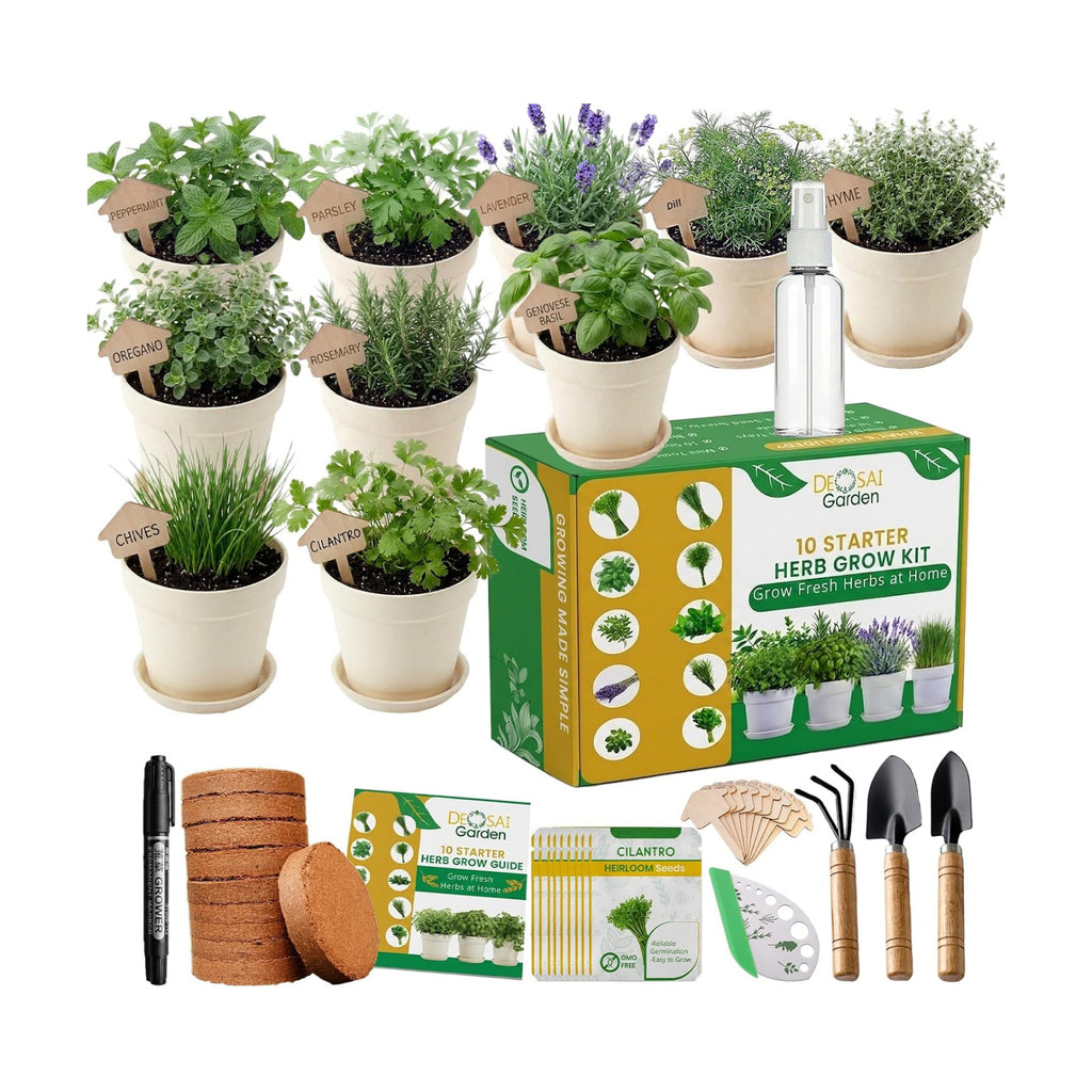 47 PCS Herb Garden Seeds Starter Kit, 10 Non-GMO Culinary Herb Seeds with Beige Pots & Planters for Windowsill, Herb
