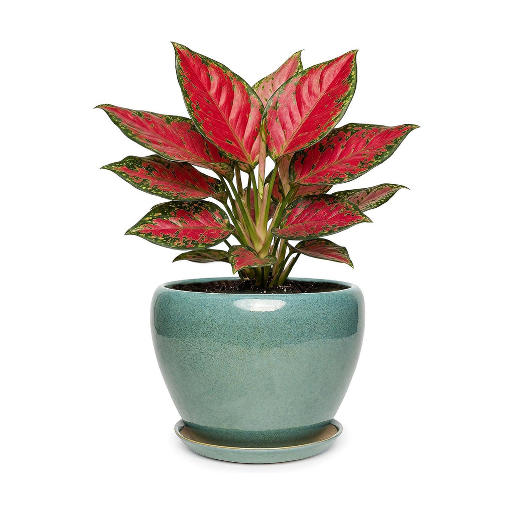 7.5 Inch Ceramic Plant Pot with Drainage Hole Mesh Net,Modern Gardening Pots for Indoor Plants with Saucer, Blue-Green