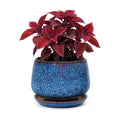 7.5 Inch Ceramic Planter with Saucer,Modern Garden Pots with Drainage Hole Mesh Net, for Indoor Outdoor Use (Speckle