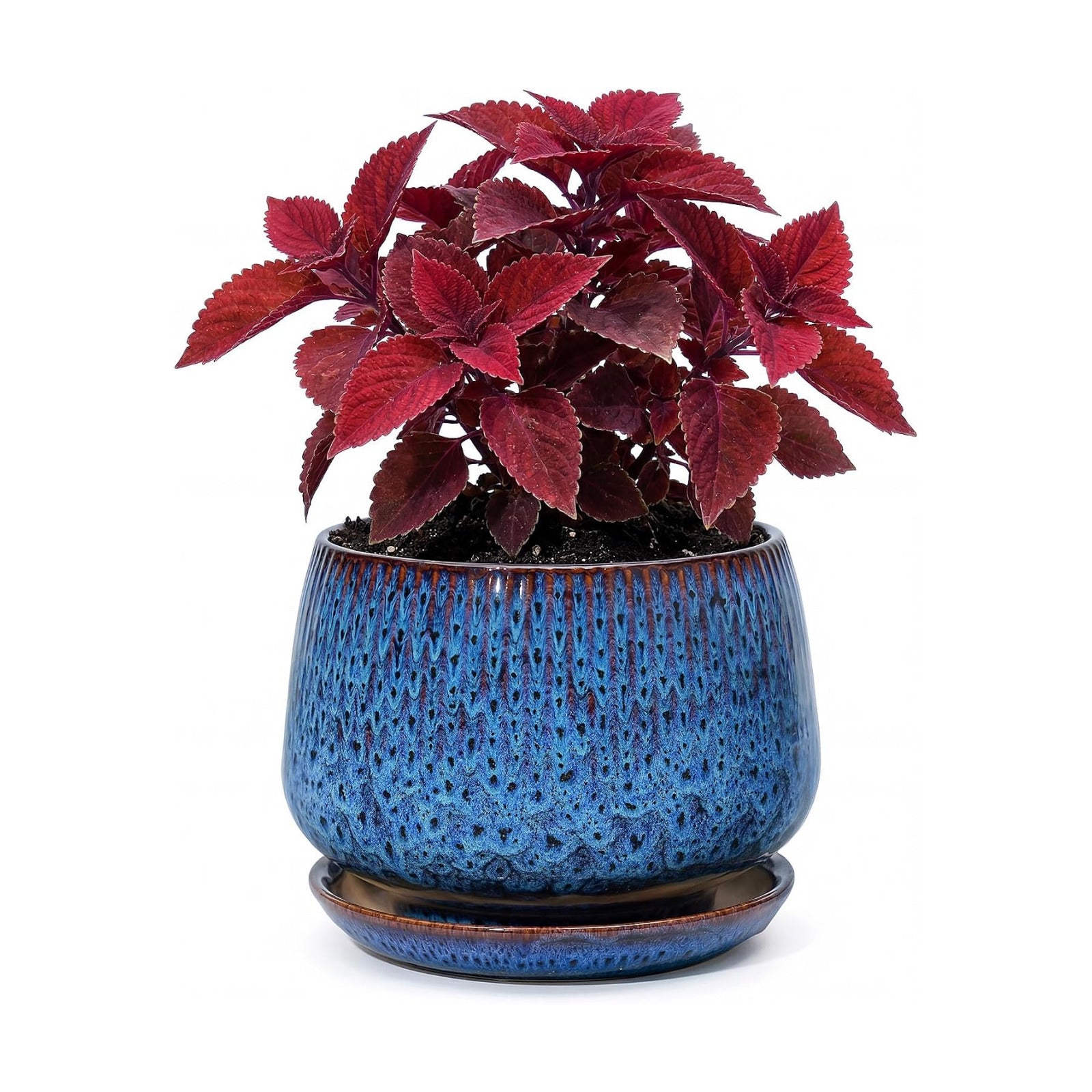 7.5 Inch Ceramic Planter with Saucer,Modern Garden Pots with Drainage Hole Mesh Net, for Indoor Outdoor Use (Speckle