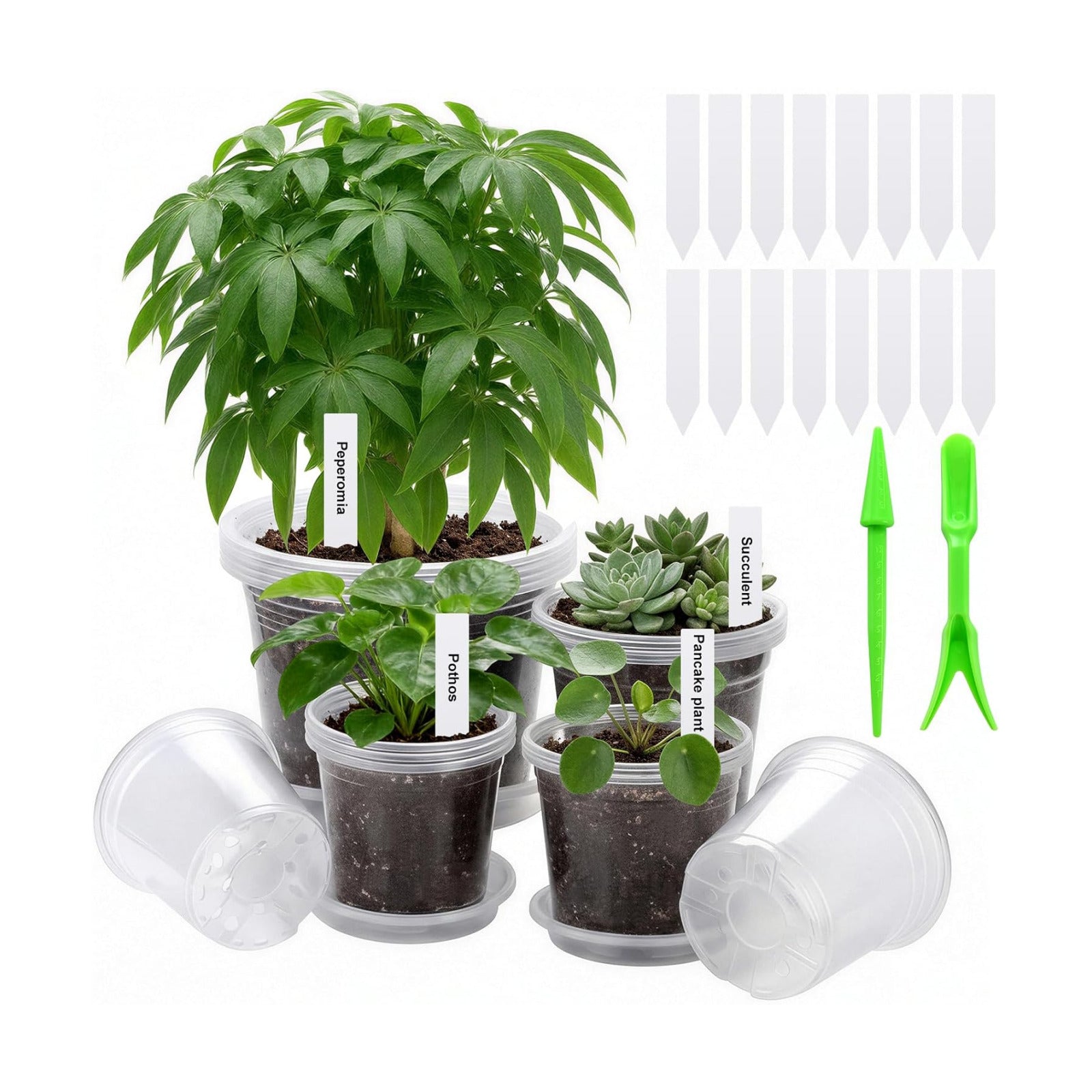 5/6/7/10 Inch Clear Nursery Pots with Drainage & Saucers 16PCS , Plant Large Pots with Labels, Seedling Tool & Hole