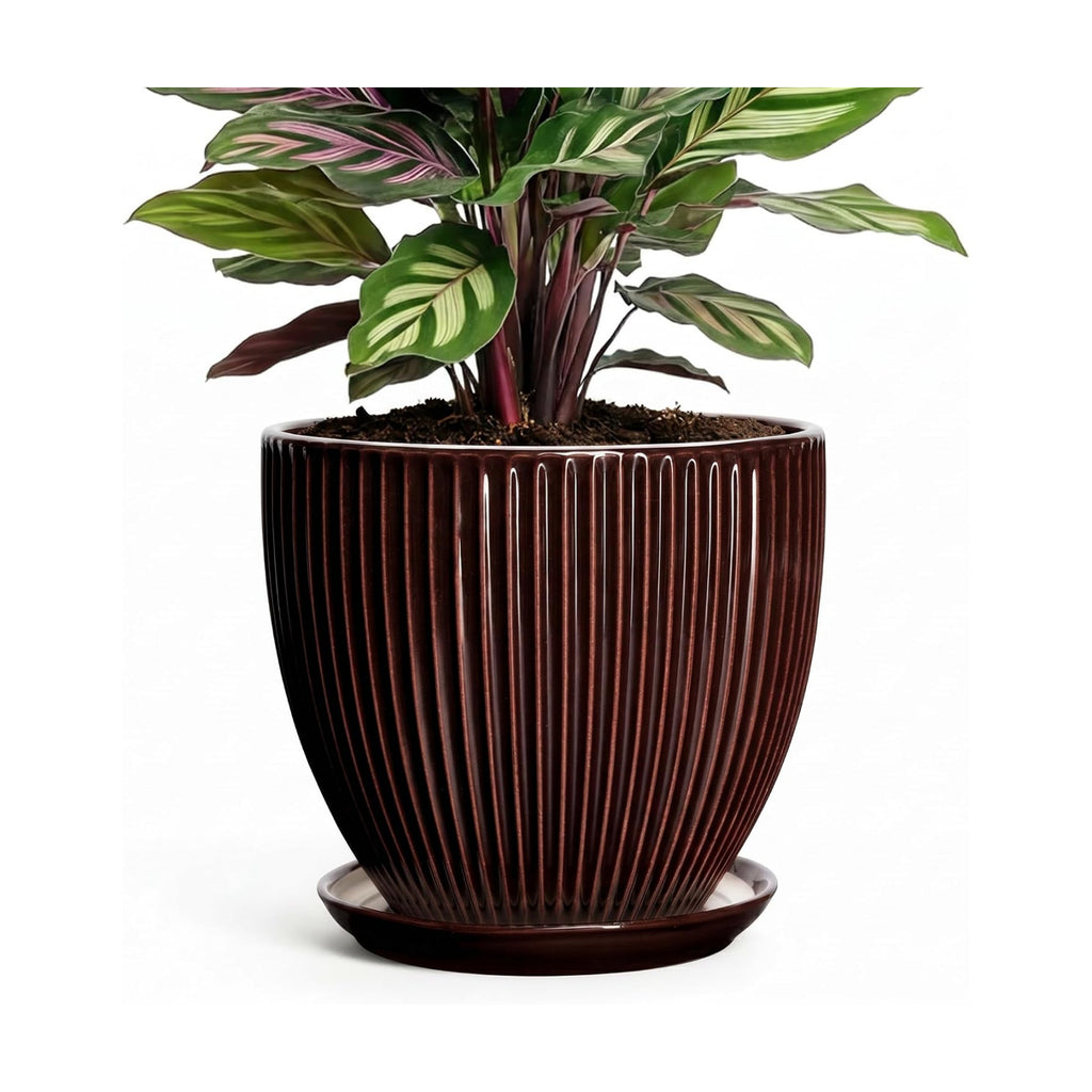 6 Inch Planter, Ceramic Plant Pots Indoor with Drainage Hole and Saucer, Round Flower Orchid Pots for Indoor Plants