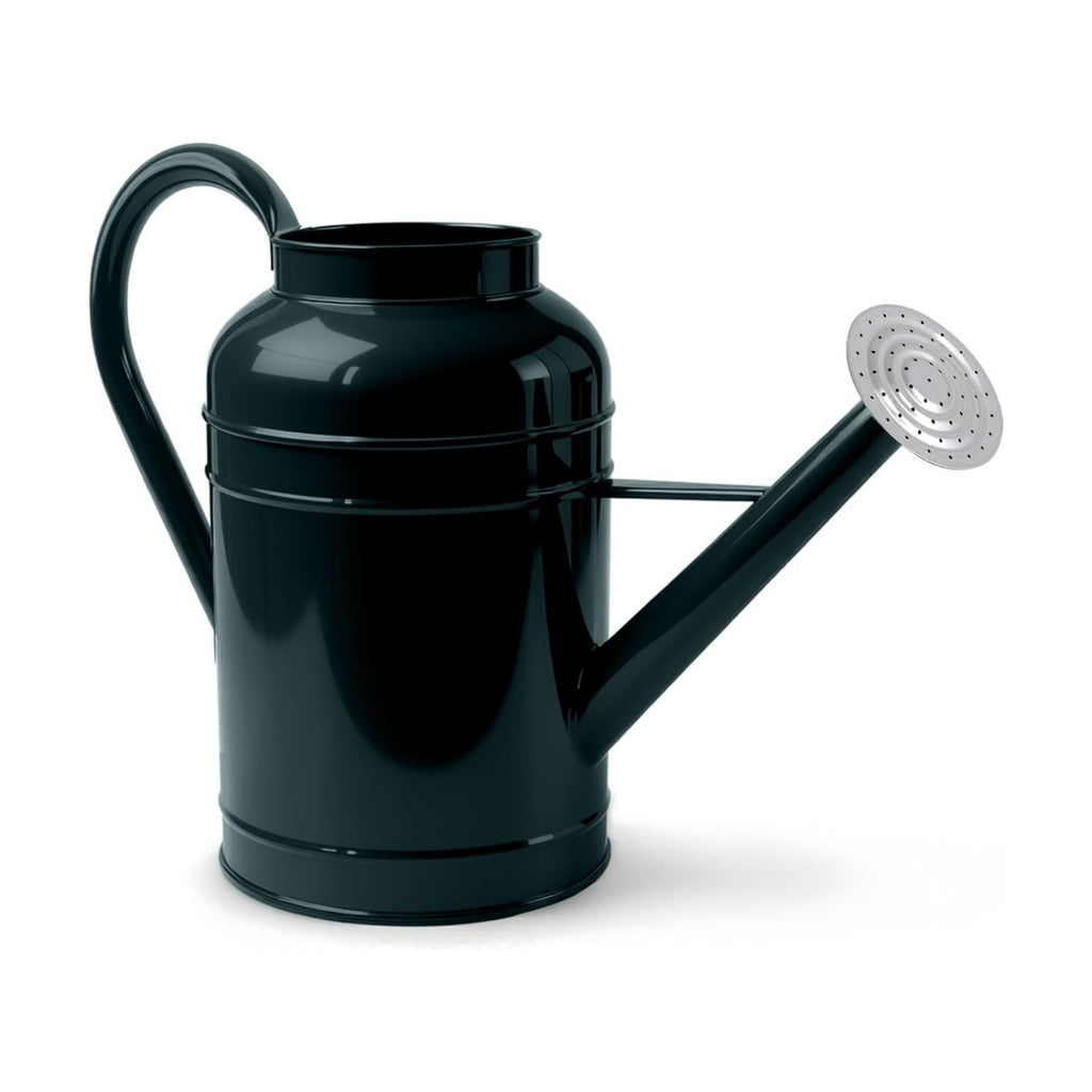 2.3 Gallon Dark Green Metal Watering Can for Plants and Garden with Removable Spout, Made of Galvanized Iron