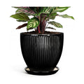 6 Inch Ceramic Planter, Indoor Plant Pots for Small Plants, Decorative Flower Pots with Drainage Hole and Saucer, Round