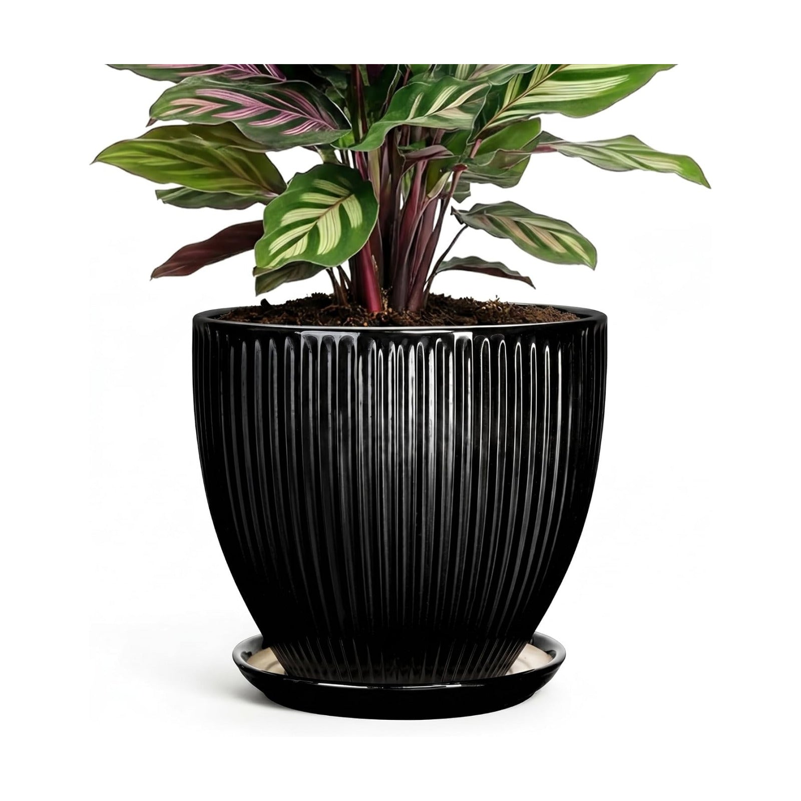 6 Inch Ceramic Planter, Indoor Plant Pots for Small Plants, Decorative Flower Pots with Drainage Hole and Saucer, Round