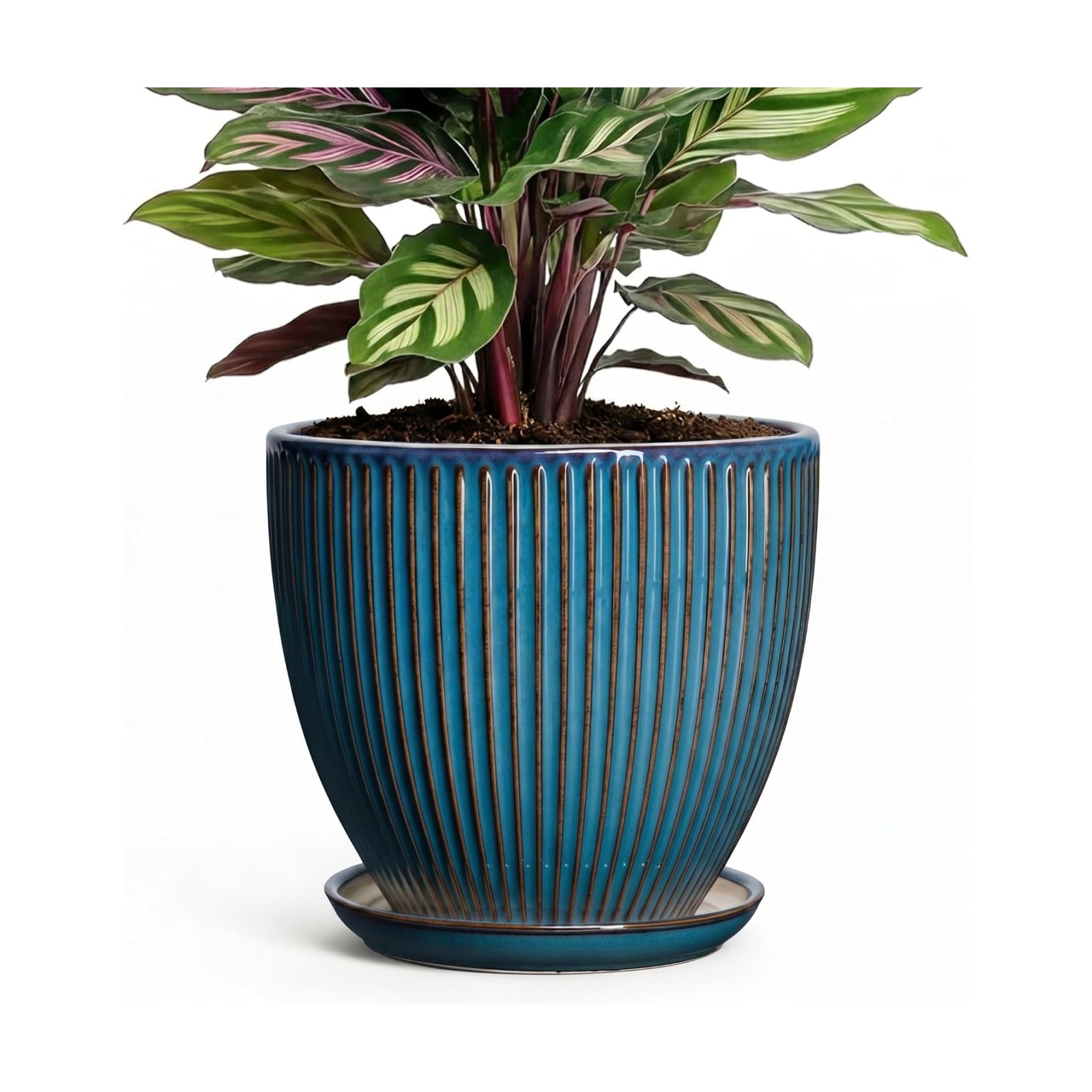 6 Inch Plant Pot, Ceramic Flower Pots for Indoor Plants, Round Planters with Drainage Hole and Saucer, Decorative Small