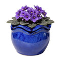 Ceramic Self-Watering African Violet Pots for Indoor Plants | 6.5 inch, Falling Blue, reactive glaze, self-watering