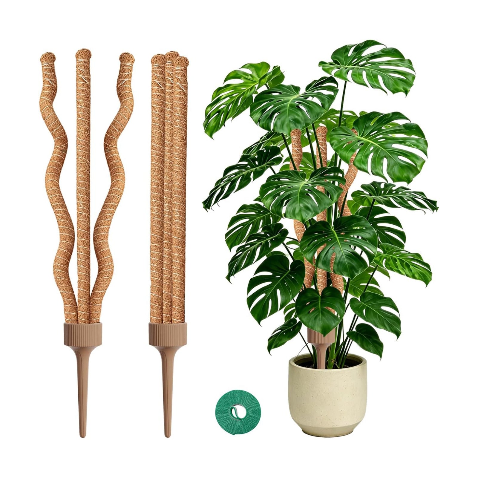 3-in-1 Moss Pole, Bendable 30IN Monstera Plant Support for Indoor-2 Pack | 3 Integrated Moss Poles for Climbing Plants