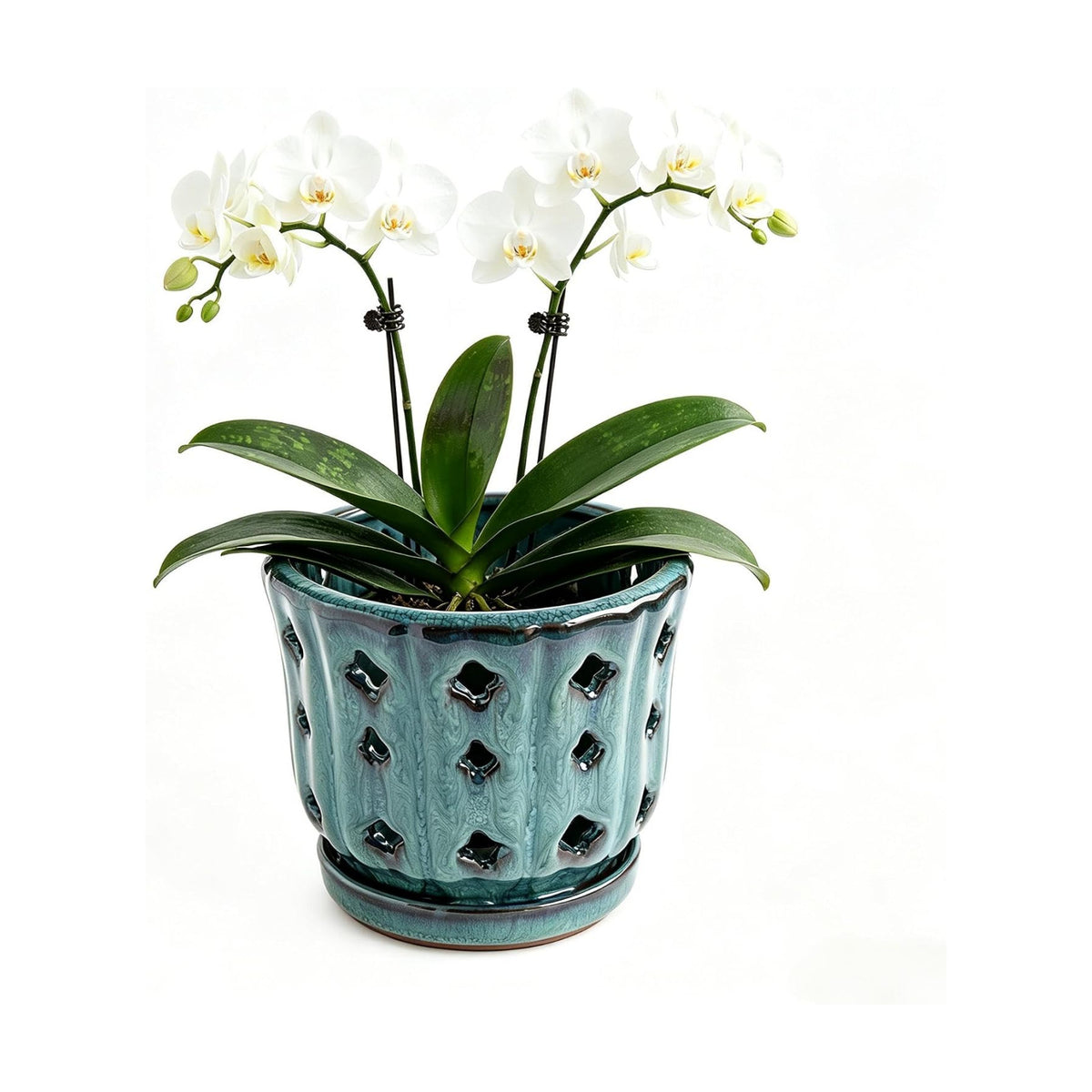 6 Inch Ceramic Orchid Pot with Holes, Ocean Blue