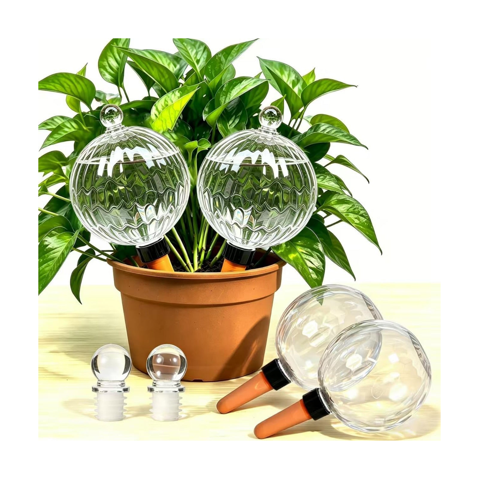 26oz Extra Large Plant Watering Globes, Self Watering Bulbs and Water Globes for Indoor Outdoor Potted Plants, Vacation