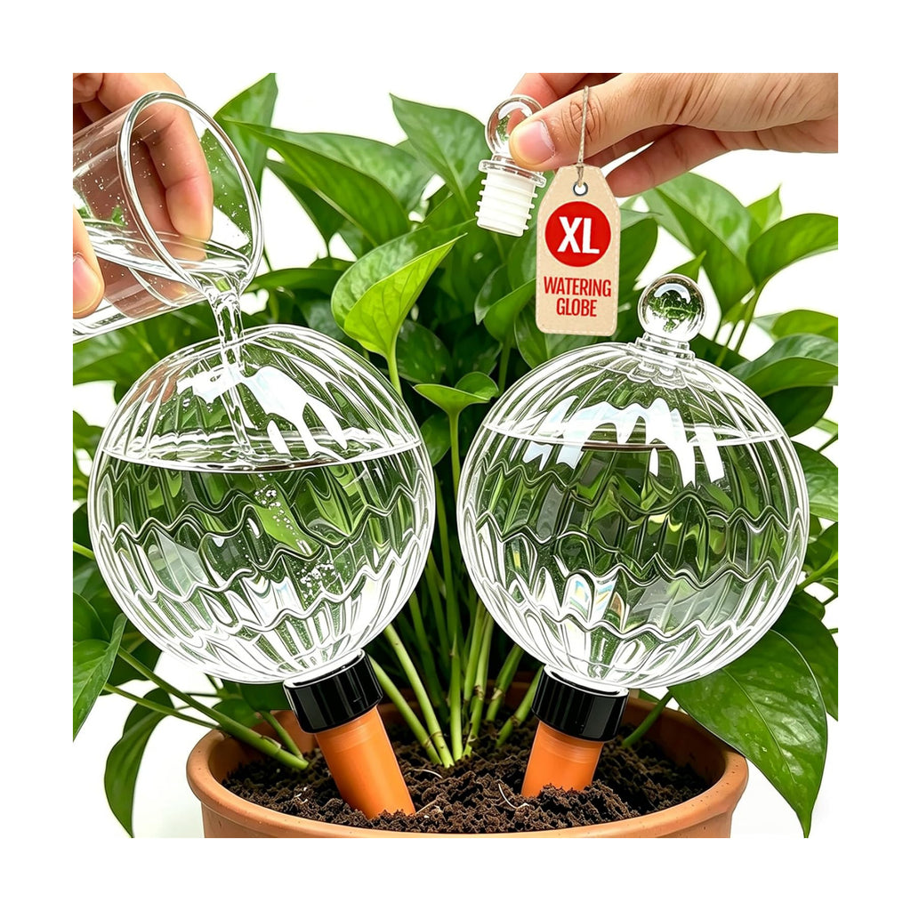 26oz Extra Large Self Watering Globes, Plant Watering Globes, Water Globes, Plant Water Bulbs, Watering Bulbs for