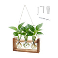 Plant Propagation Station, Heart Test Tube Vases with Hook